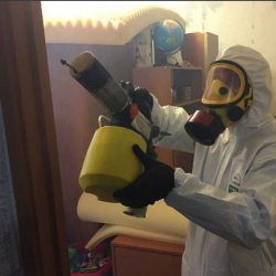 Уничтожение клопов в квартире. Шадринск